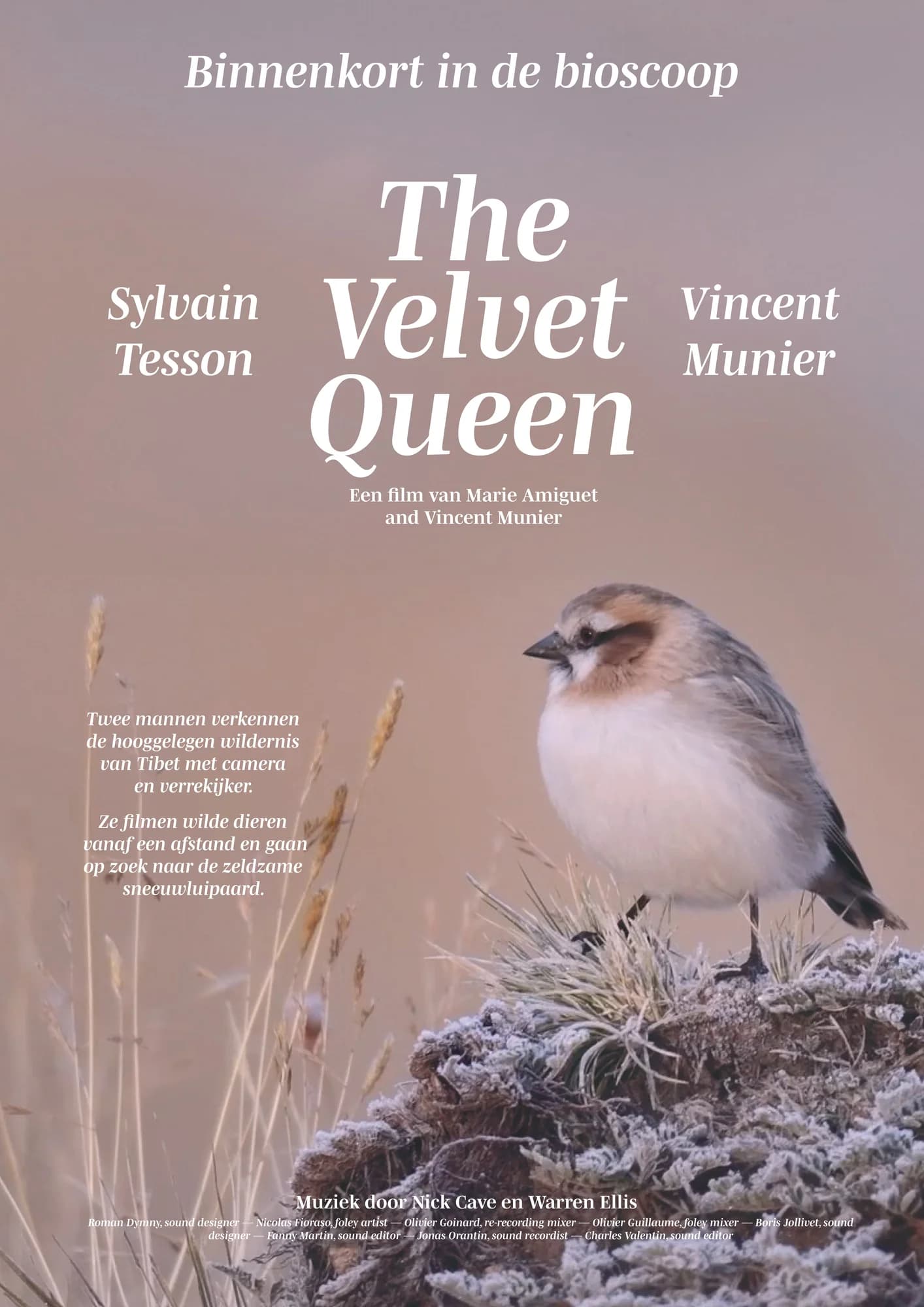 The Velvet Queen